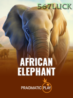 African Elephant game cover
